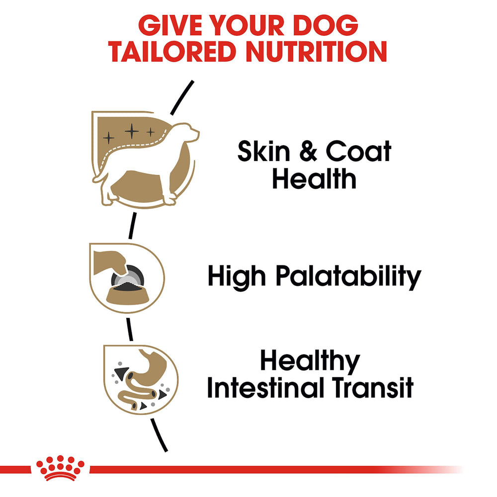 Royal Canin Chihuahua pâté en sauce stimule l’appétit et la satiation