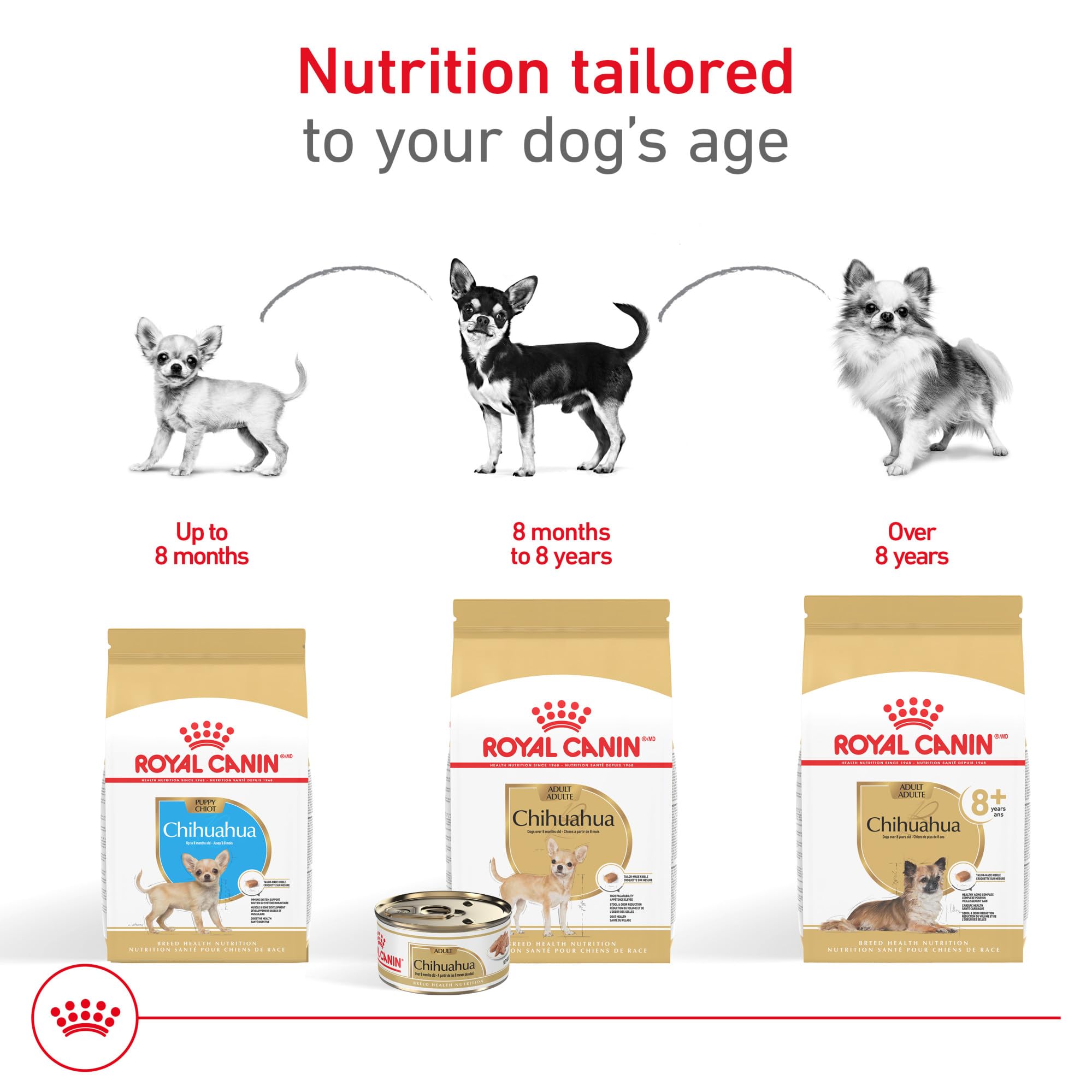 Royal Canin Chihuahua pâté en sauce servi seul ou mélangé