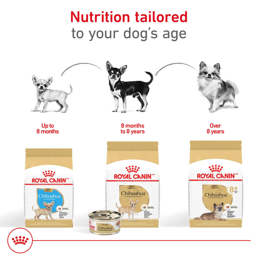 Royal Canin Chihuahua Puppy : format compact pour petits bols.