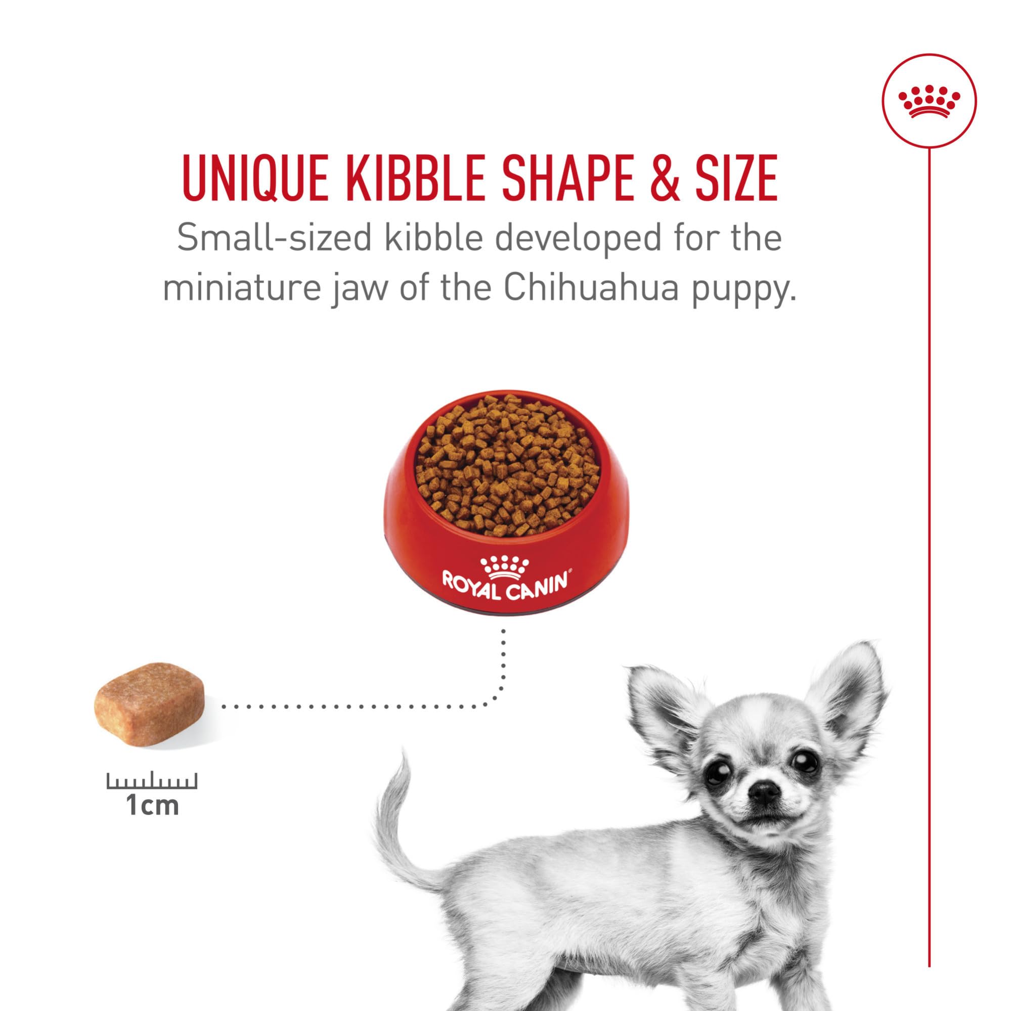 Royal Canin Chihuahua Puppy : arômes gourmands pour les palais exigeants.