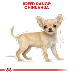 Royal Canin Chihuahua Puppy : digestion améliorée grâce à des protéines digestibles.