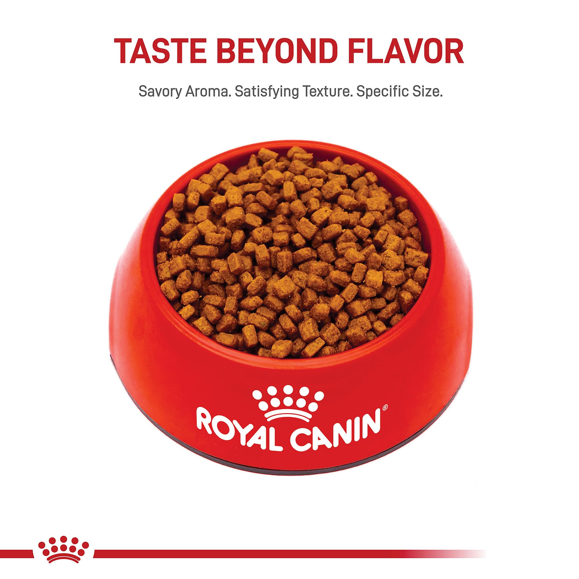 Royal Canin Chihuahua Puppy : goût appétissant pour chiots difficiles.
