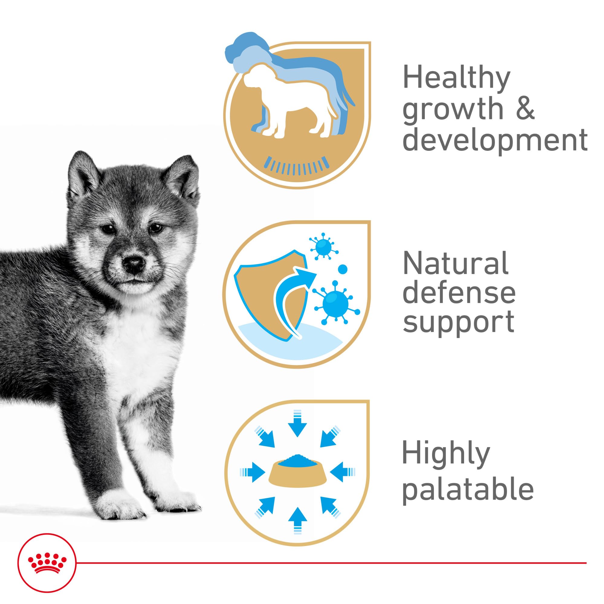 Royal Canin Chiot antioxydants, soutien du systeme immunitaire en croissance.
