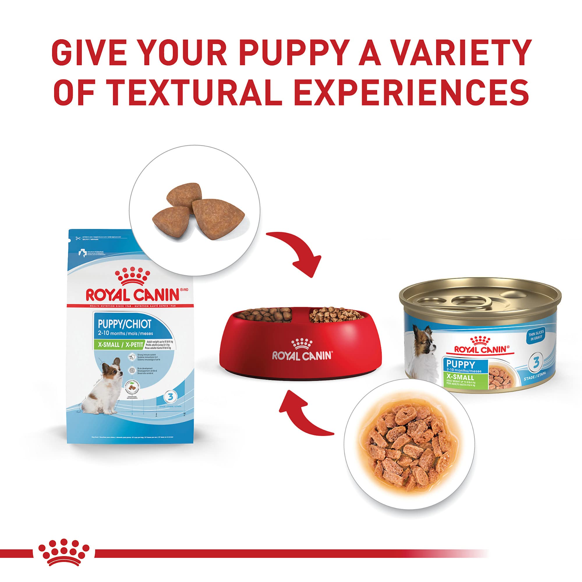 Chiot avec nourriture humide Royal Canin pour varier les textures.