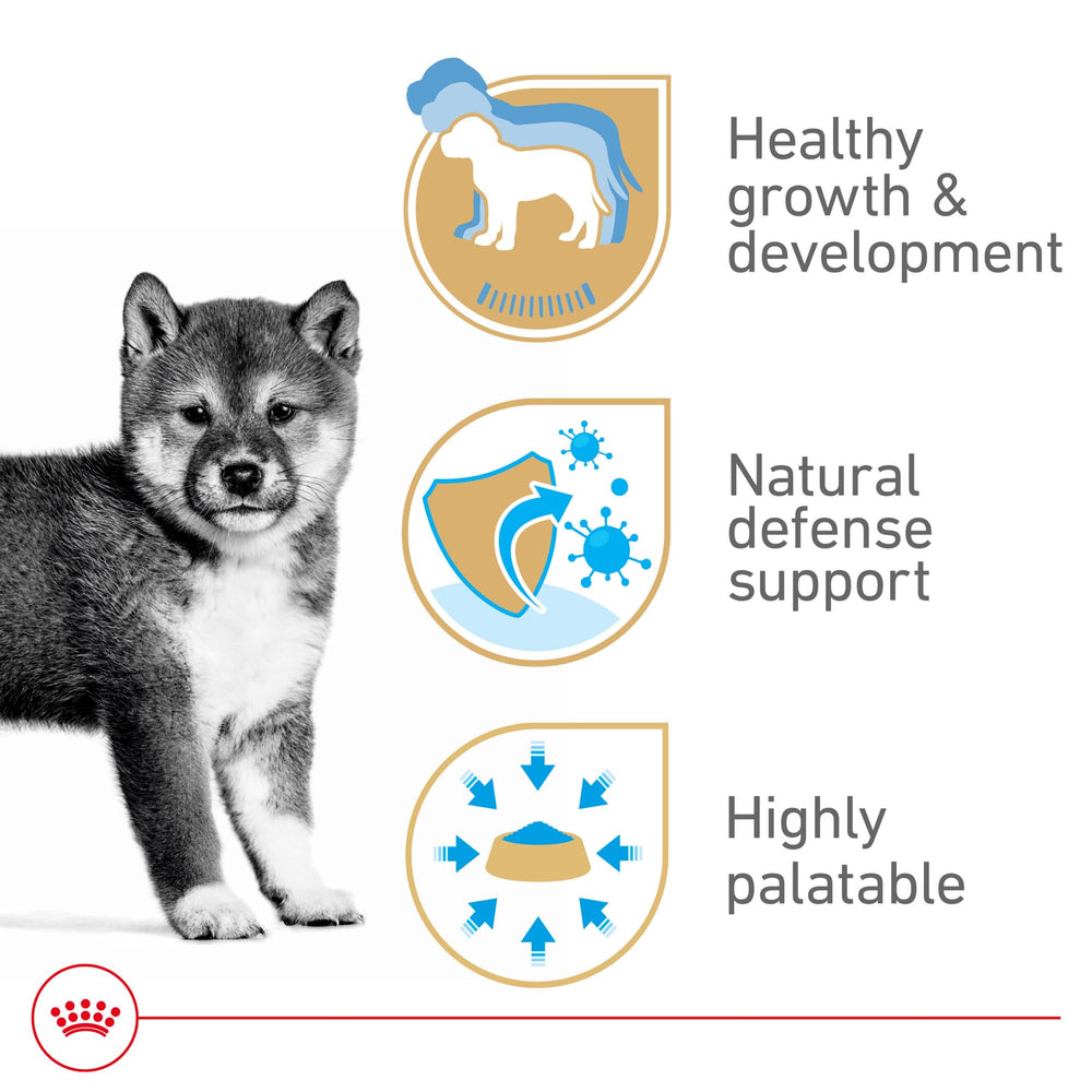 Royal Canin Chiot – digestion améliorée grâce à des protéines digestibles.