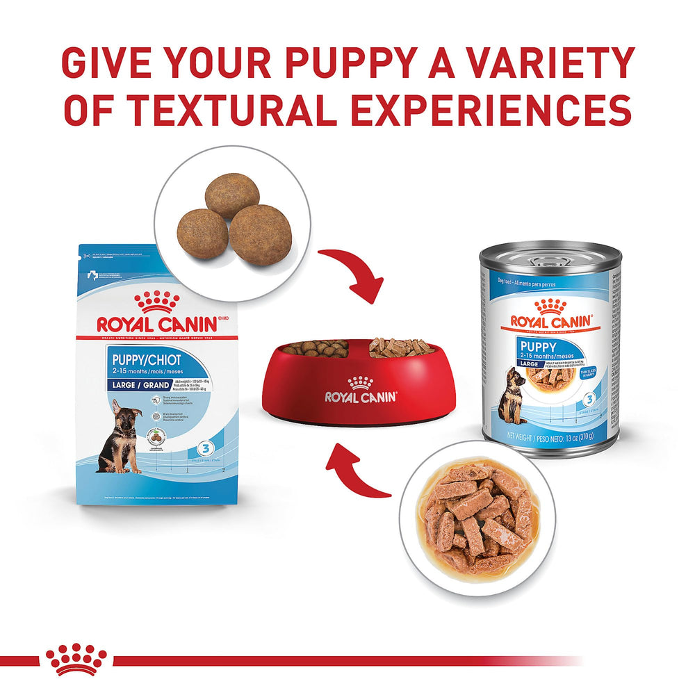 Royal Canin chiot grand mélange humide et sec – transition alimentaire variée et équilibrée.