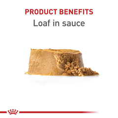 Royal Canin Chiot pate en sauce, texture appetissante pour stimuler l'appetit.