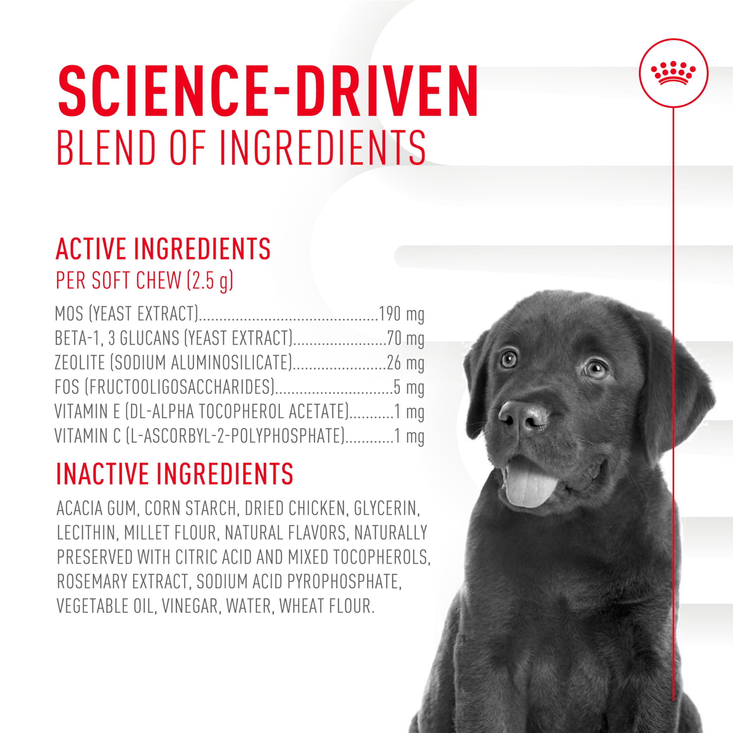 ROYAL CANIN Chiot – chiot receptive au produit, friables et parfum discret