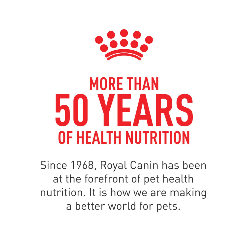 ROYAL CANIN Chiot – routine quotidienne avec le supplement