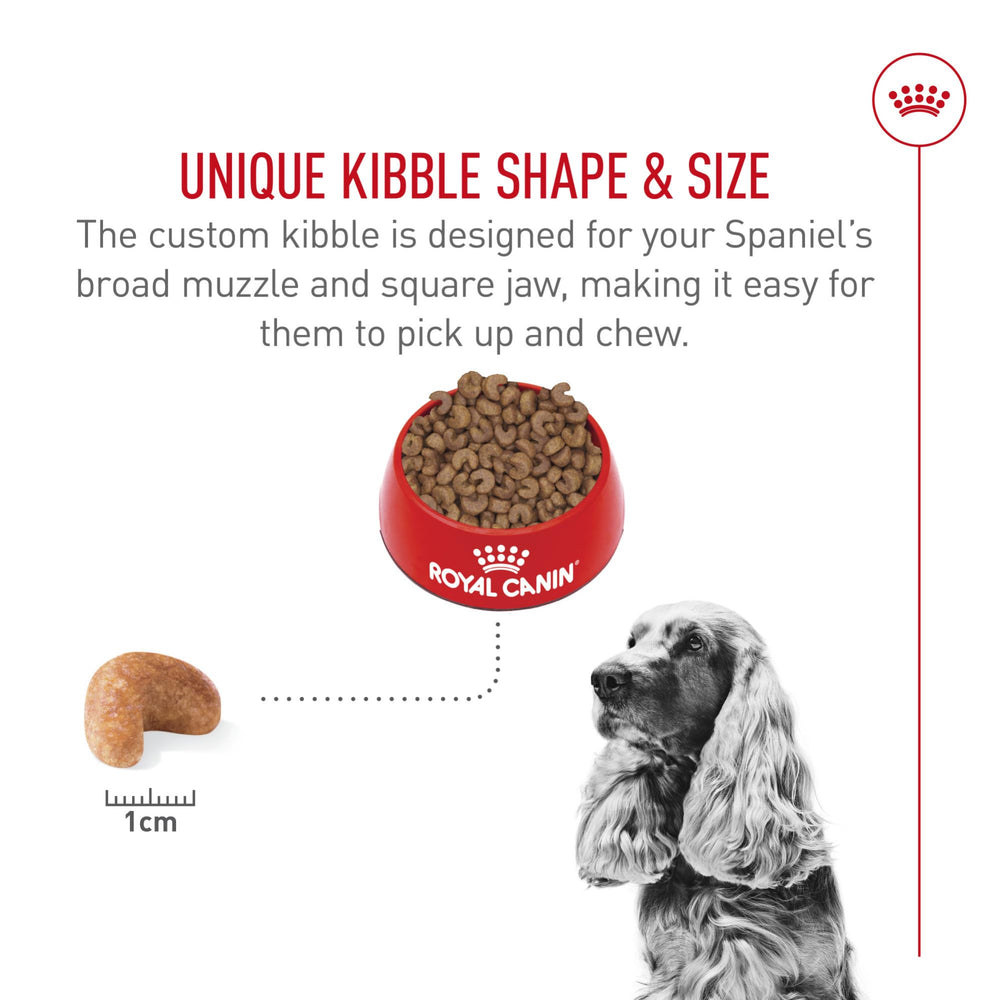 ROYAL CANIN Cocker Spaniel Adulte peau et poil renforces, barriere cutanee.
