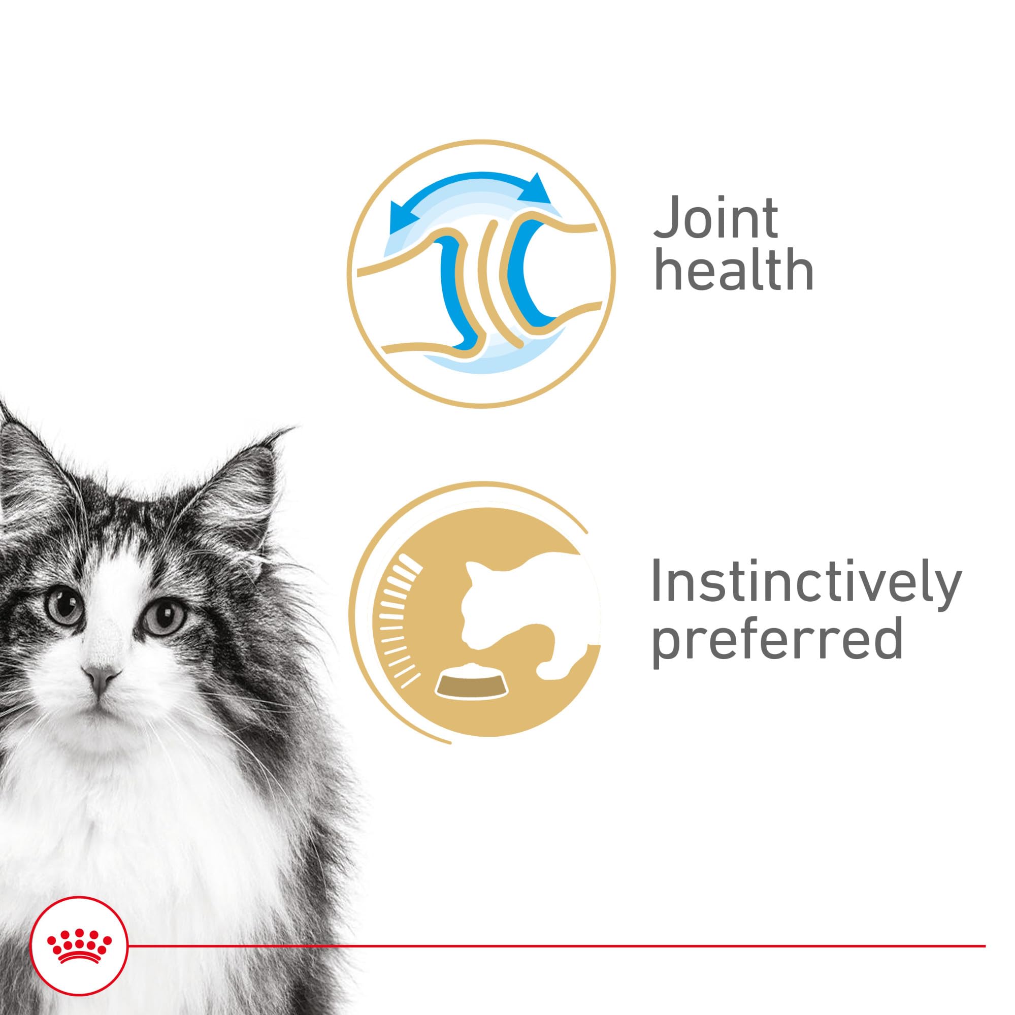 Royal Canin Aging – complexe HealthyAge7 soutenant la vitalité des chats seniors.