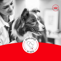Royal Canin Corgi Adult – bol-nourriture-quotidienne pour Corgi heureux