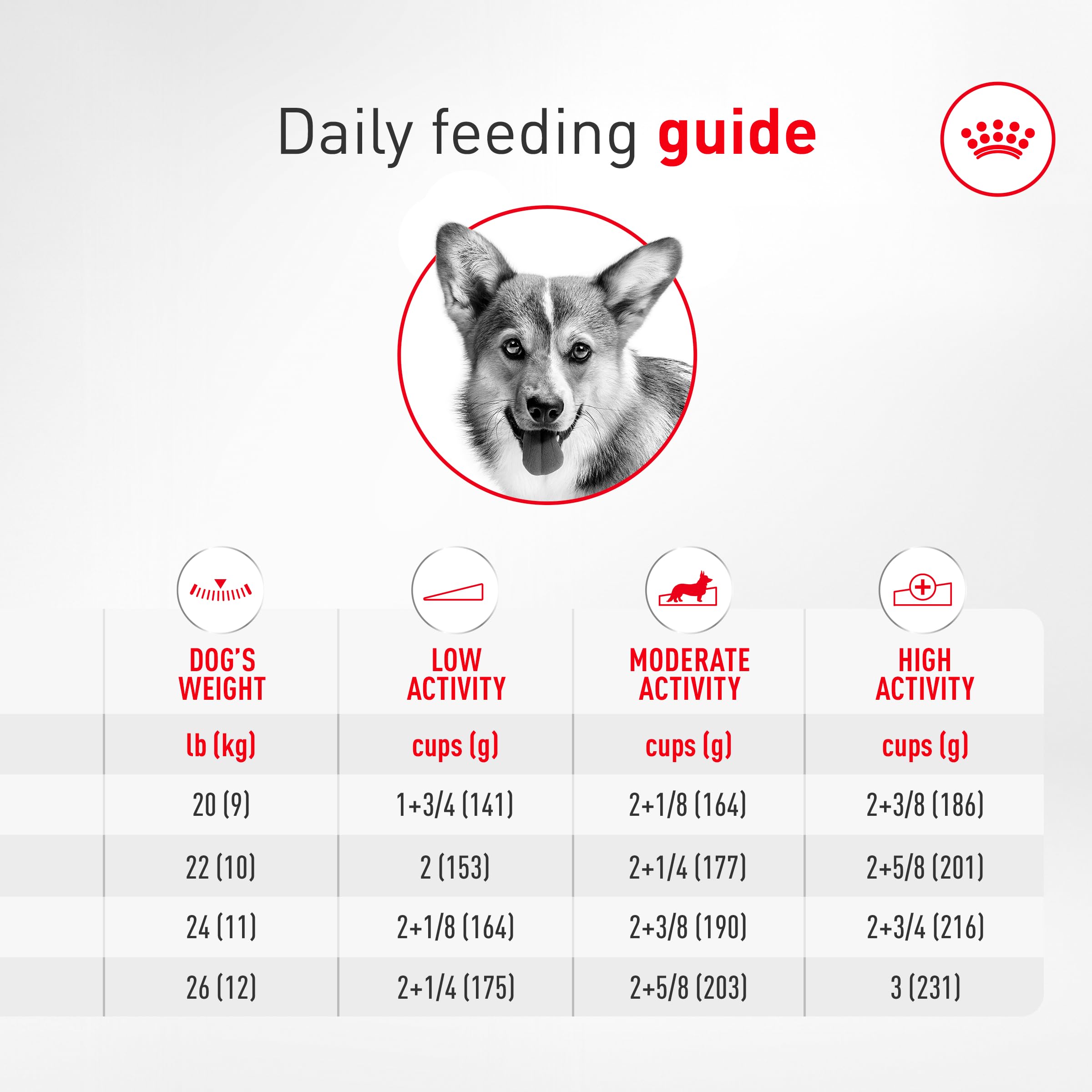 Royal Canin Corgi Adult – digestion-equilibre avec prébiotiques et protéines faciles