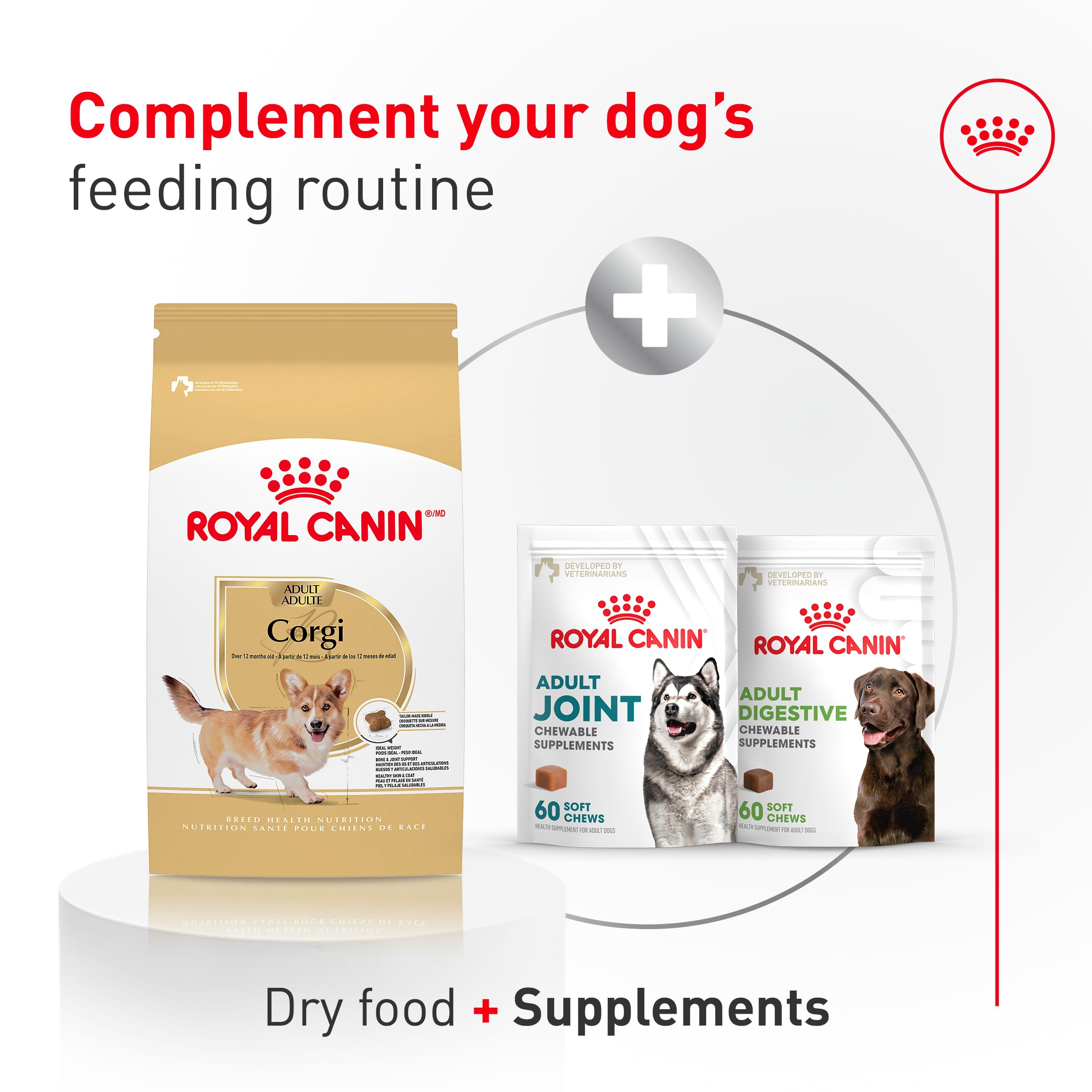 Royal Canin Corgi Adult – EPA-DHA et glucosamine soutiennent les articulations