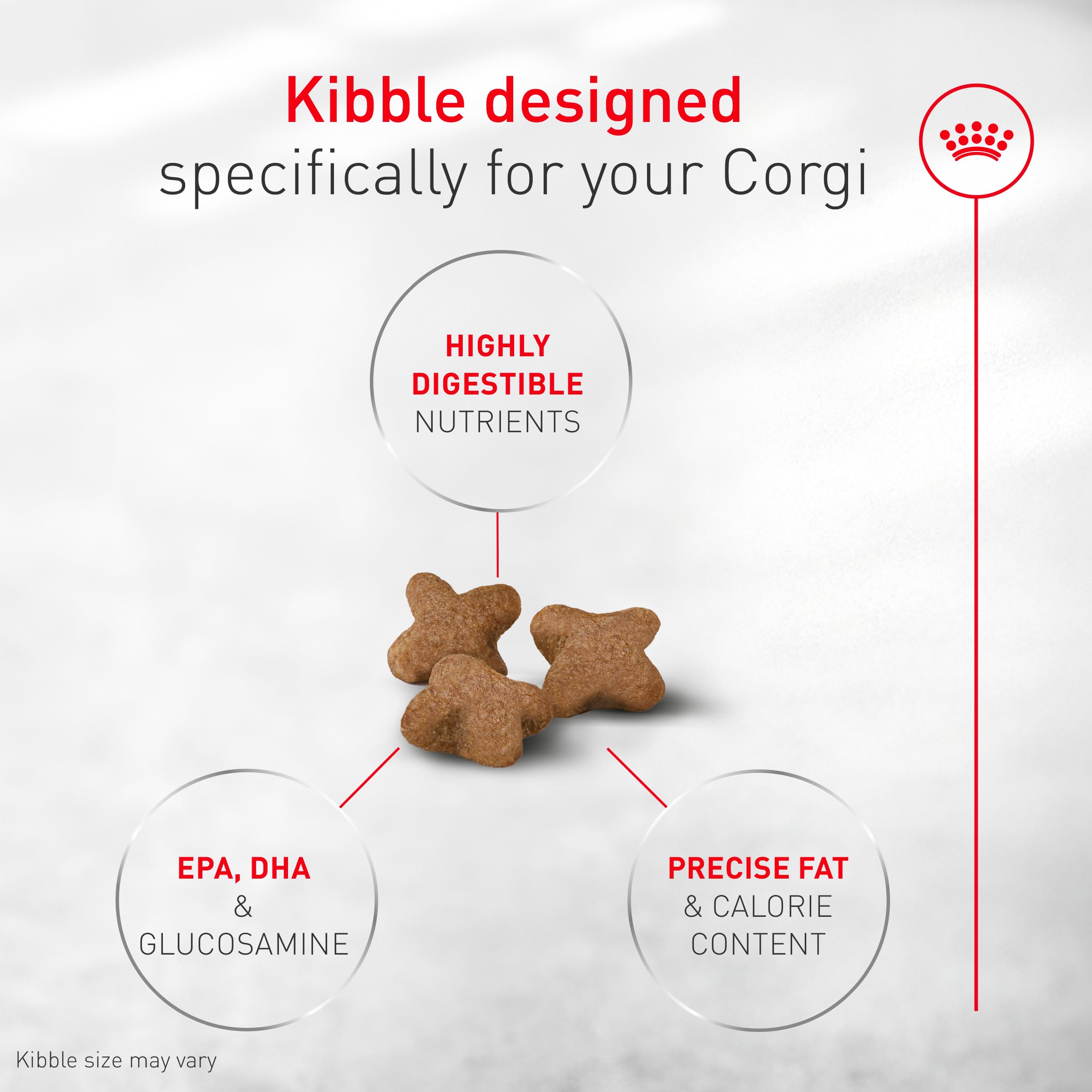 Royal Canin Corgi Adult – poil-brillant grâce à une nutrition ciblée