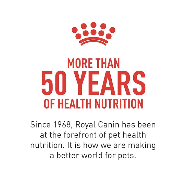 Royal Canin Corgi Adult – usage quotidien simple et pratique