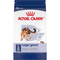 Croquettes Royal Canin taille Large pour chien grand adulte, repas équilibré