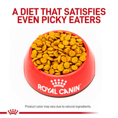 Croquettes Royal Canin petites races, forme adaptée pour petites mâchoires.