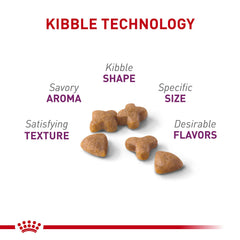 Croquettes prébiotiques Royal Canin soutiennent la digestion quotidienne.