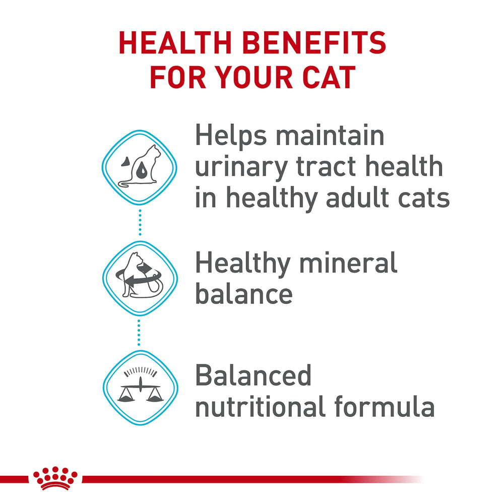 ROYAL CANIN croquettes sèches — texture appeatente.