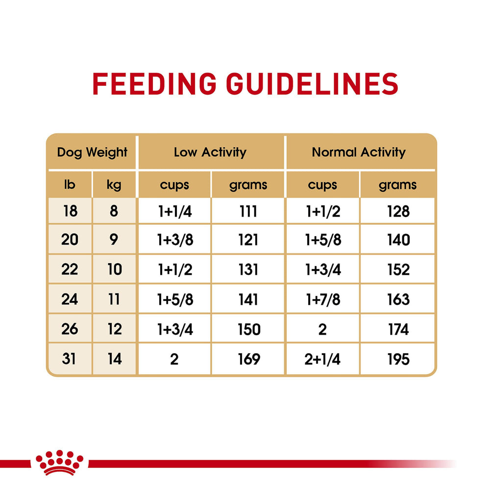 Royal Canin Croquettes sèches favorisant digestion et confort quotidien