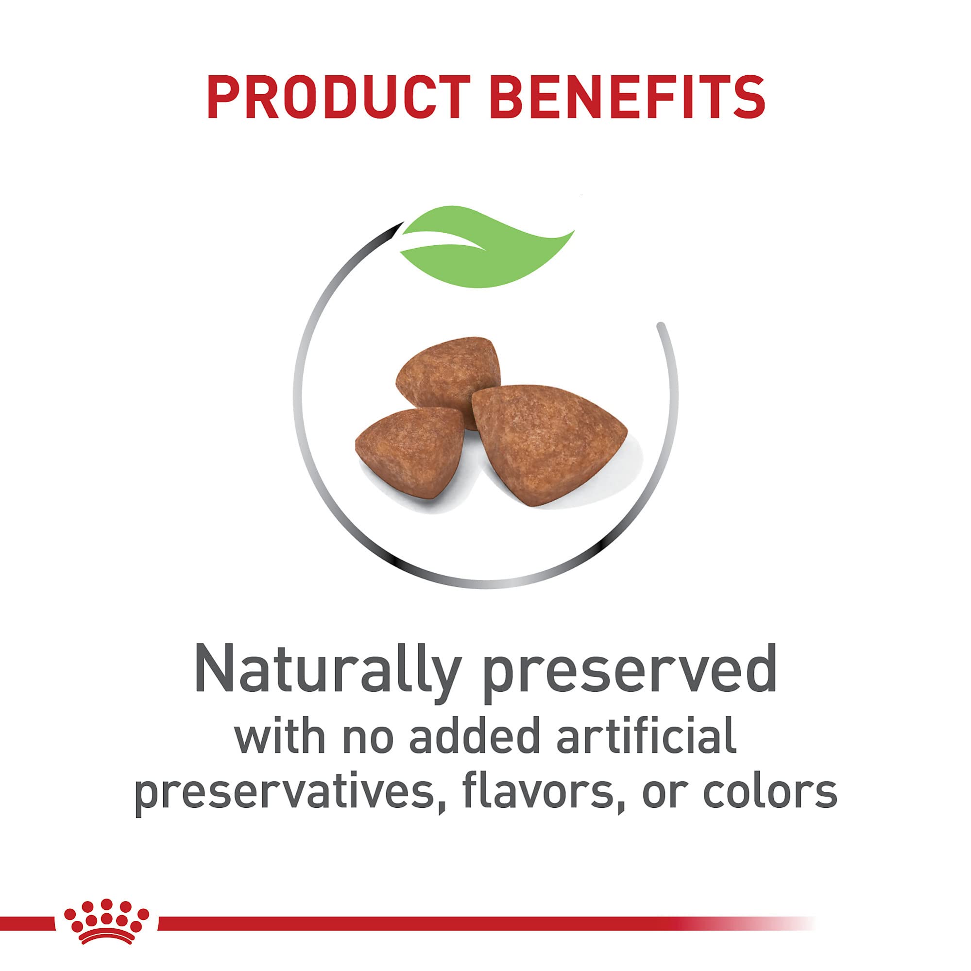 Zoom sur les croquettes — forme et texture des croquettes Royal Canin Taille Mini Chiot.