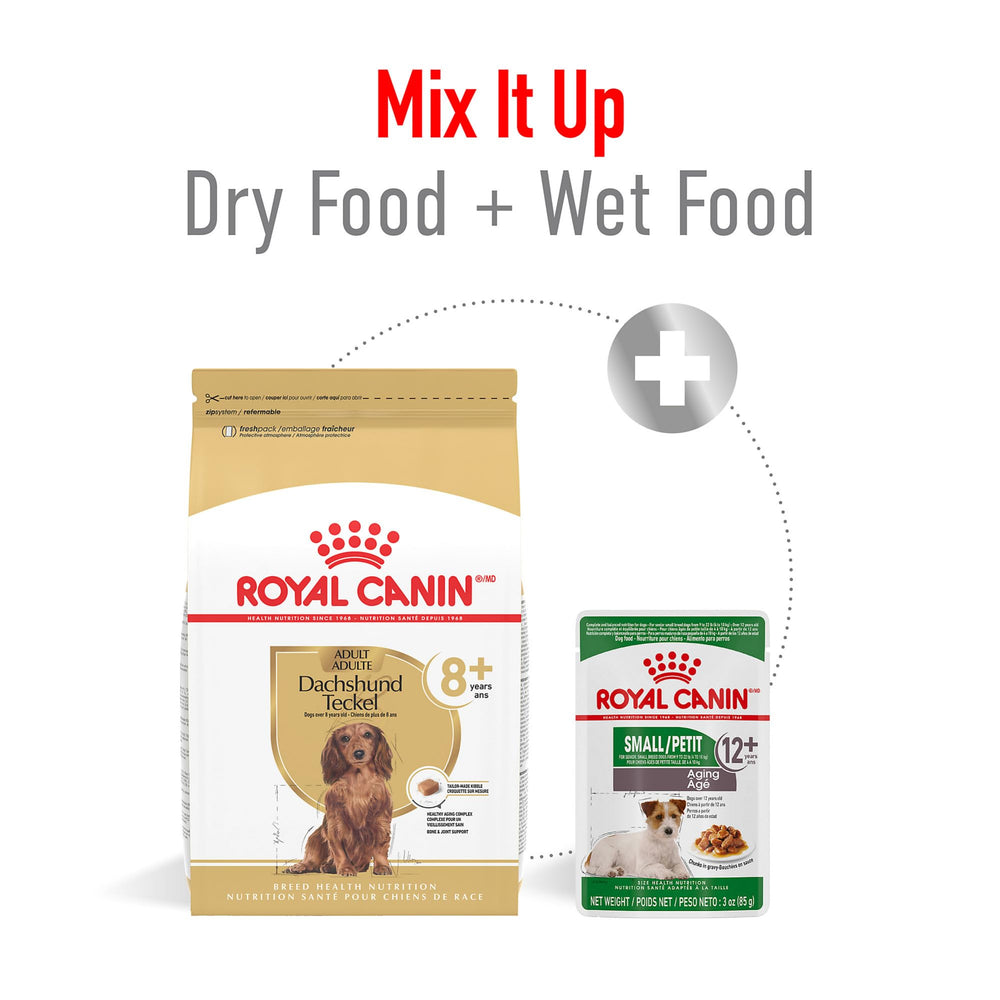 Royal Canin Dachshund 8+ gestion du poids grâce à des calories ajustées