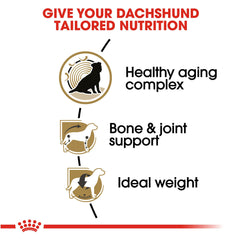 Royal Canin Dachshund 8+ calcium et phosphore pour os et articulations