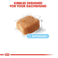 Royal Canin Dachshund 8+ antioxydants pour soutenir le vieillissement sain et les cellules
