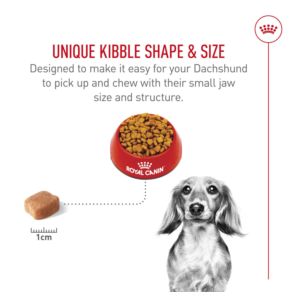 Royal Canin Dachshund Adult – digestion optimisée et réduction du volume des selles.