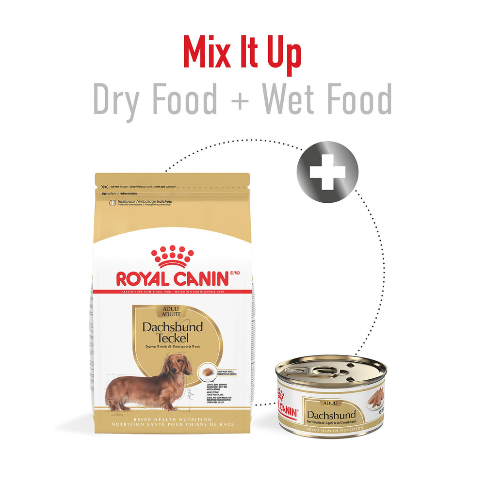 ROYAL CANIN Dachshund Adulte – alimentation adaptée au poids idéal et à l’énergie.