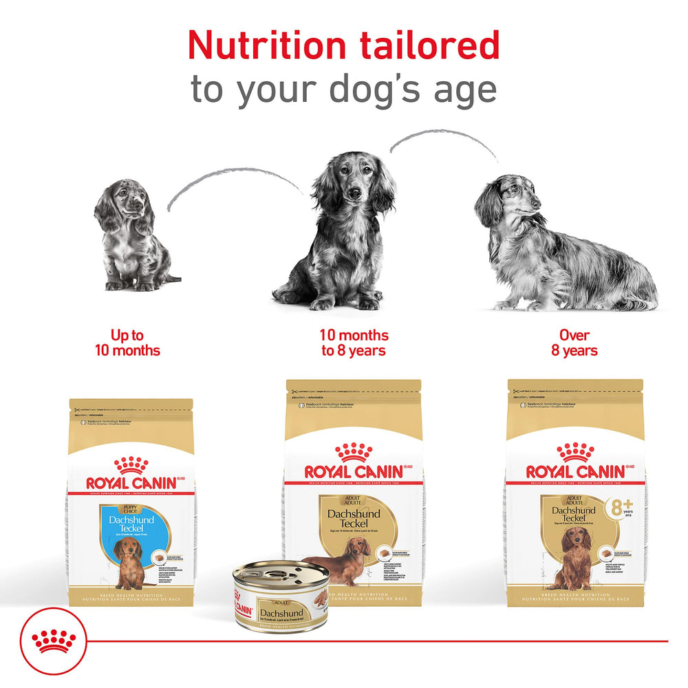 Ingrédients riches en glucosamine et chondroïtine, Royal Canin Dachshund Loaf en Sauce.