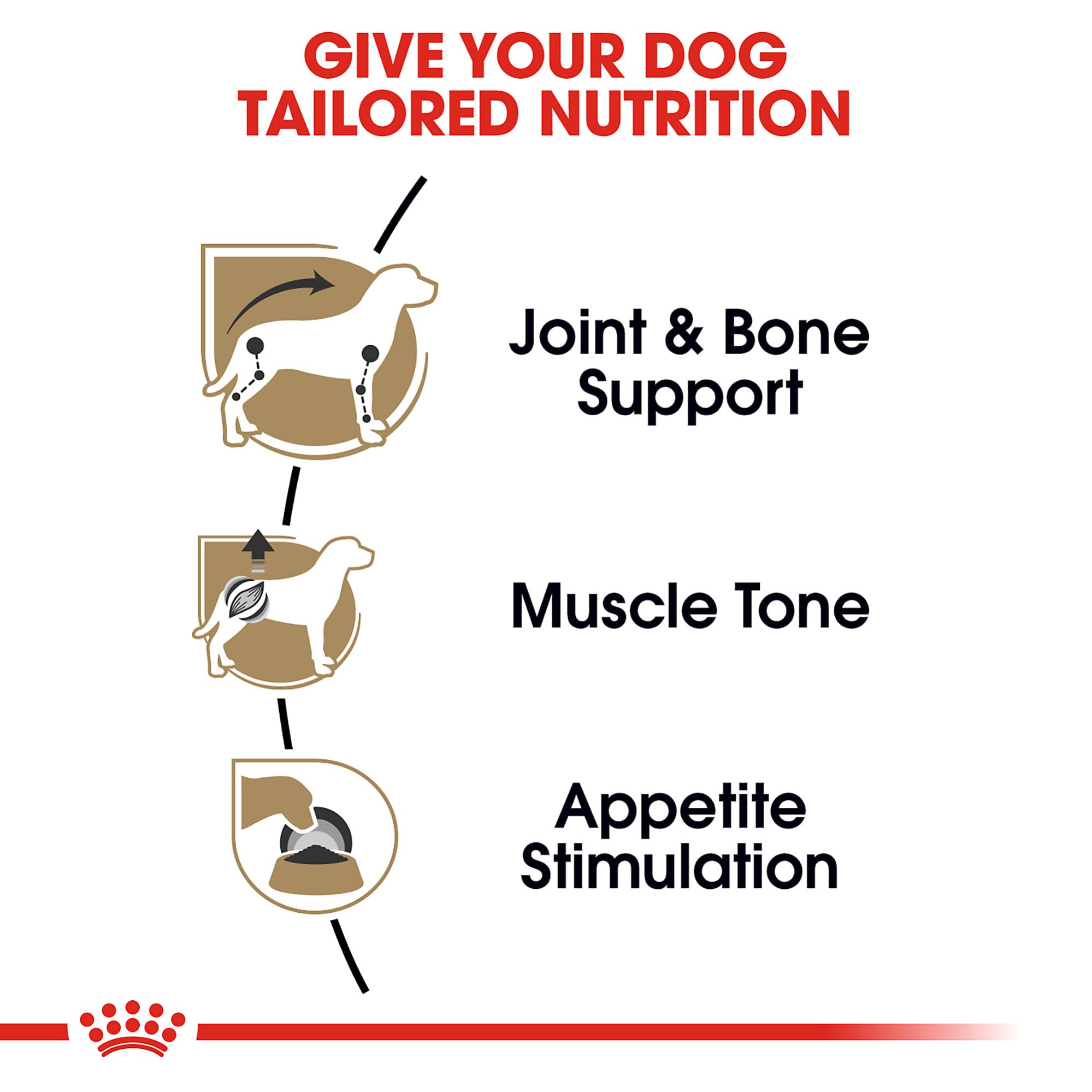 Paté moelleux en sauce, Royal Canin Dachshund Loaf en Sauce pour chiens exigeants.
