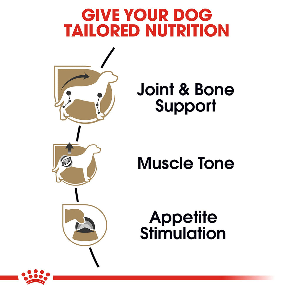 Paté moelleux en sauce, Royal Canin Dachshund Loaf en Sauce pour chiens exigeants.
