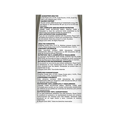 Plan de soins dentaires complet avec une nutrition adaptée.