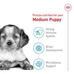 Croquettes Royal Canin chiot moyen, soutien potentiel au développement cérébral.