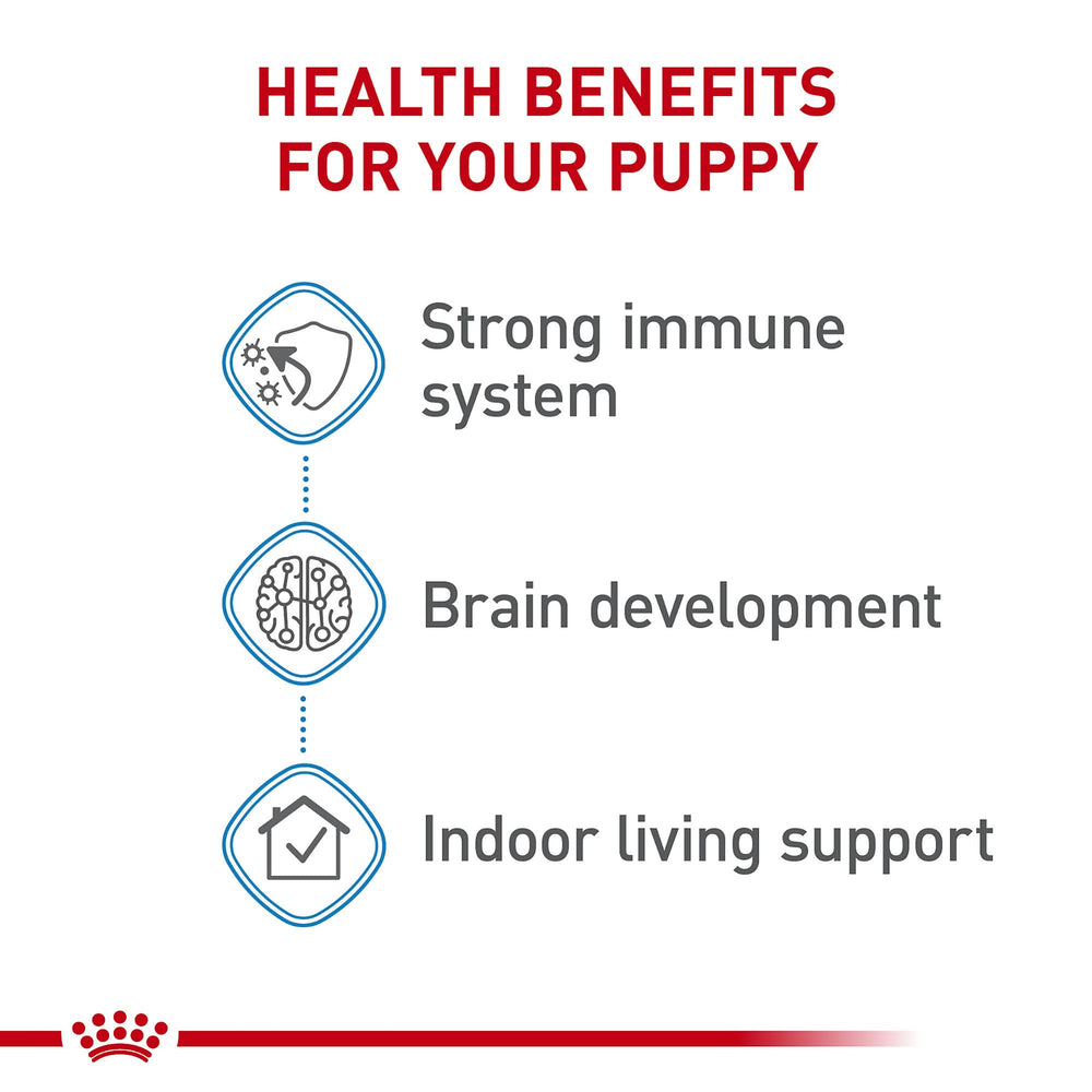 Royal Canin DHA, développement cerveau chiot