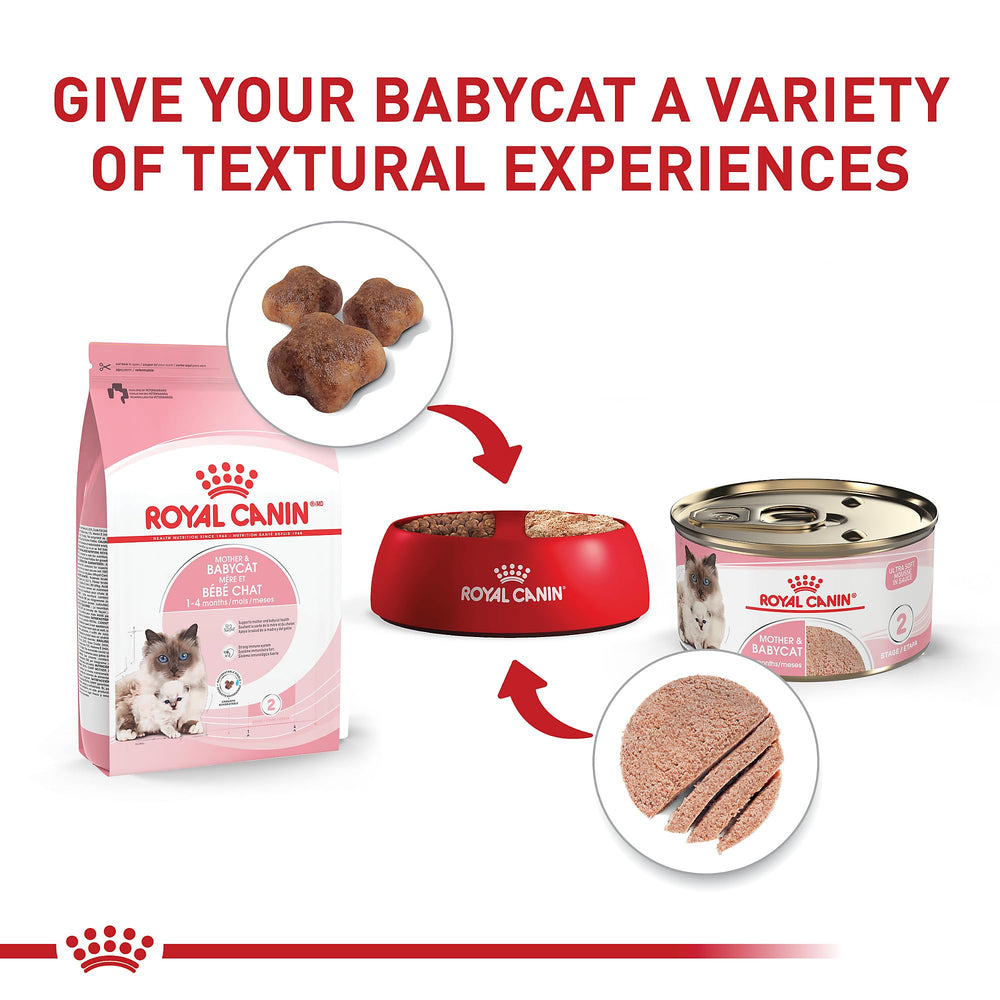 Royal Canin Mère et Bébéchaton – dha pour le développement cérébral précoce.