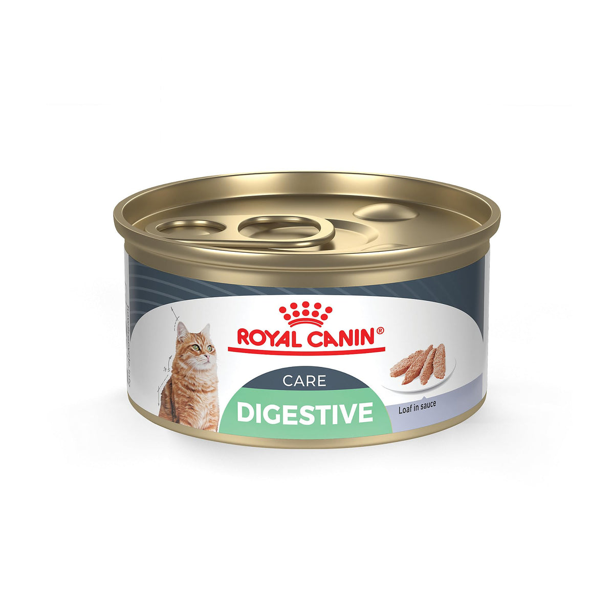 ROYAL CANIN Digestive Care Loaf en Sauce pour Chat Adulte – confort digestif