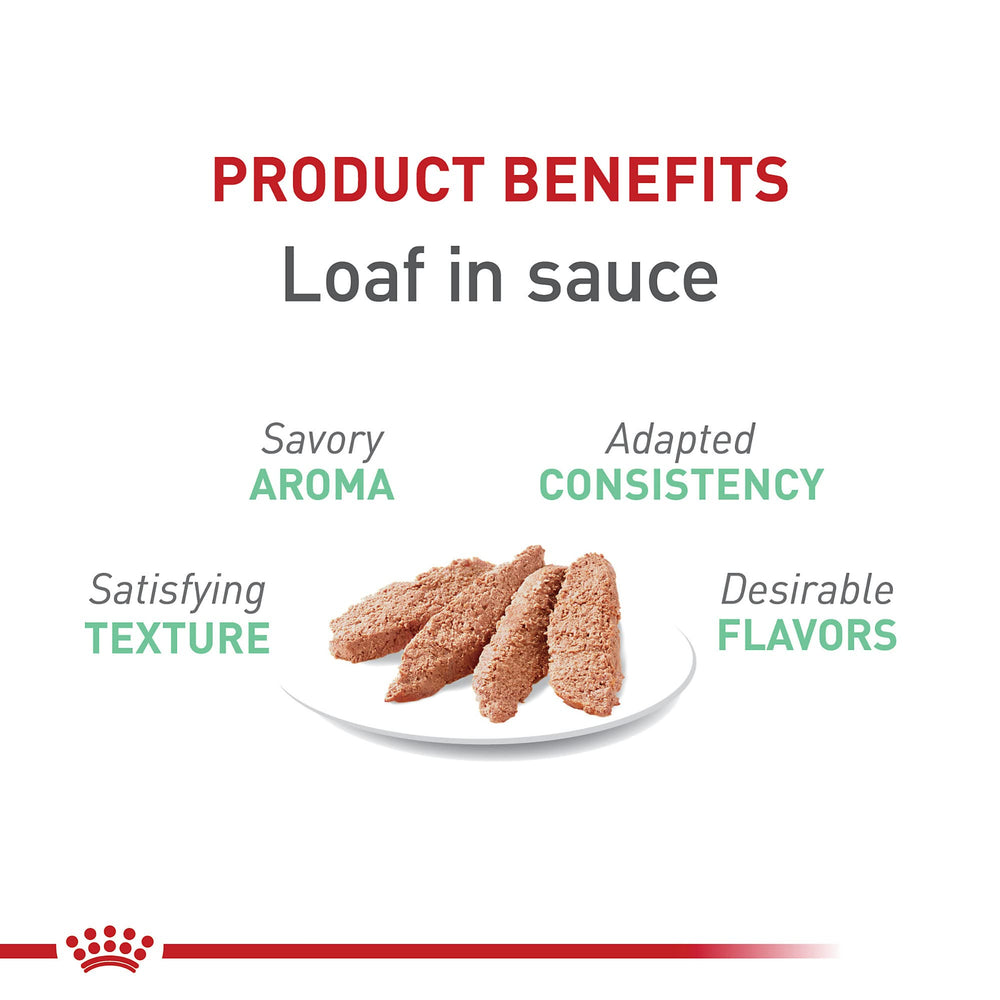 ROYAL CANIN Digestive Care Loaf en Sauce – portion chat adulte, soutien digestif