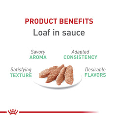 ROYAL CANIN Digestive Care Loaf en Sauce, bocaux pratiques, repas savoureux pour digestion légère.
