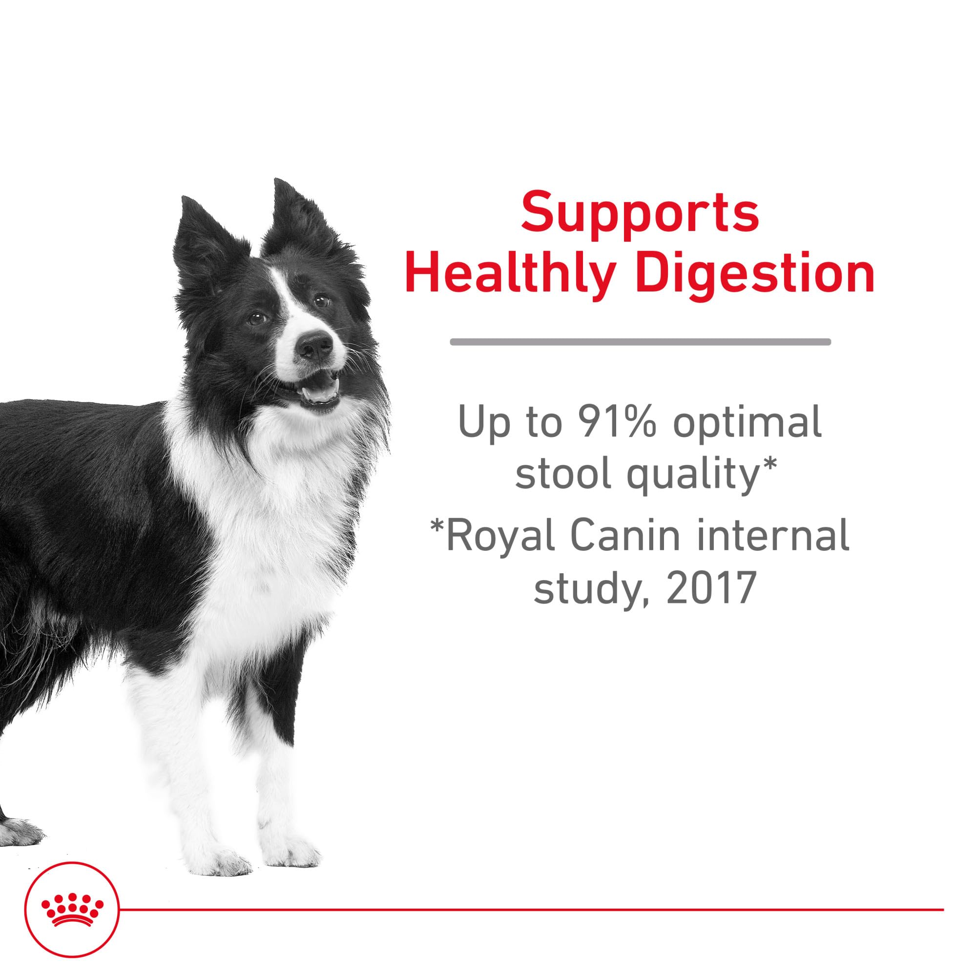 Royal Canin prébiotiques et fibres intégrés, soutien digestif potentiel.