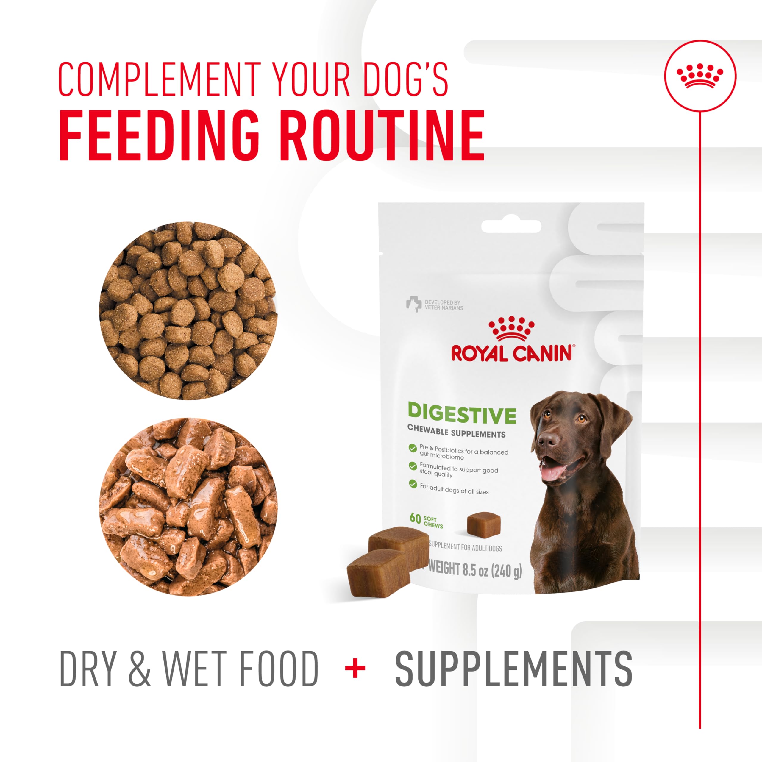Beta-glucanes et postbiotiques illustrés dans les friandises ROYAL CANIN