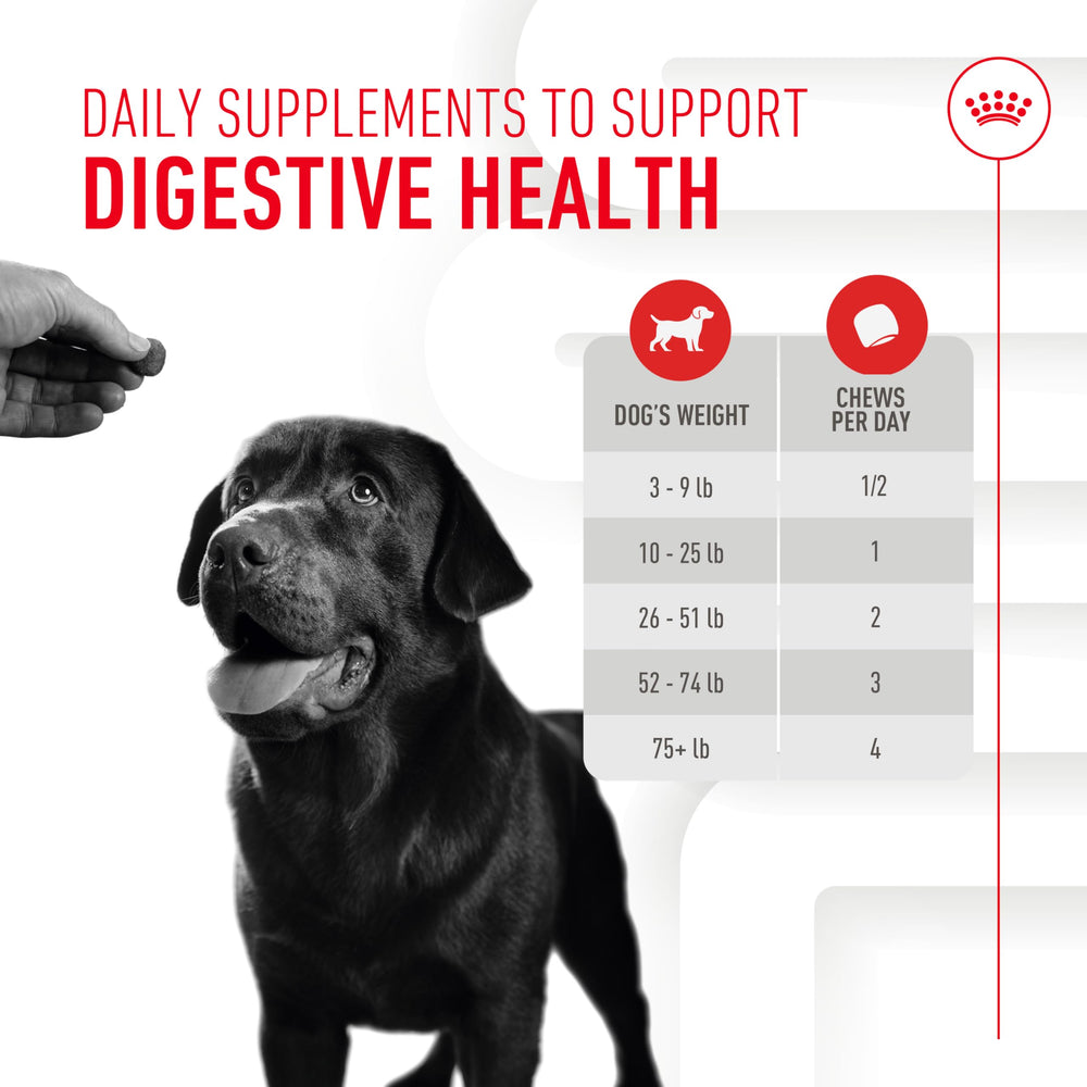 Zeolite utilisée pour atténuer l’odeur des selles ROYAL CANIN