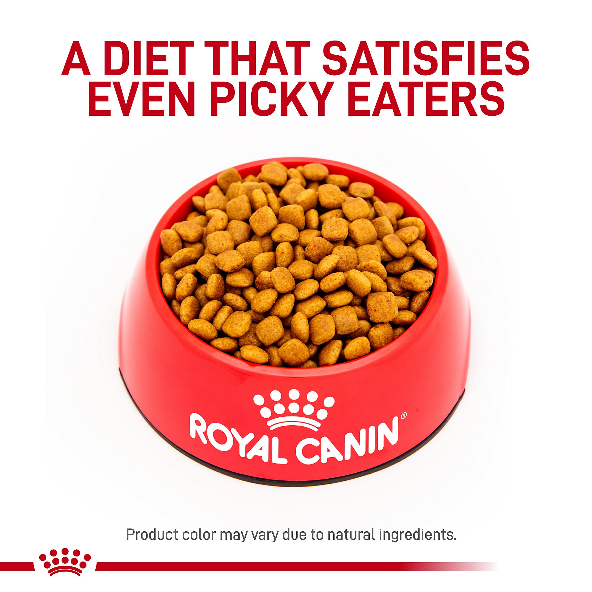 Royal Canin Early Cardiac bol de nourriture: prêt à servir.