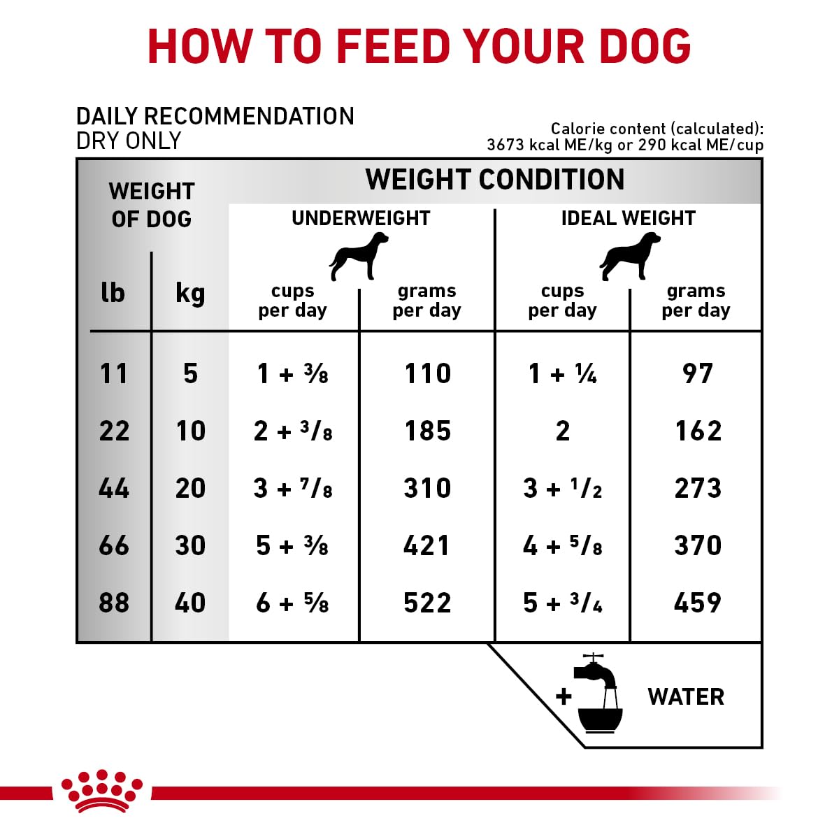 Royal Canin Early Cardiac conformité AAFCO: régime d’entretien.