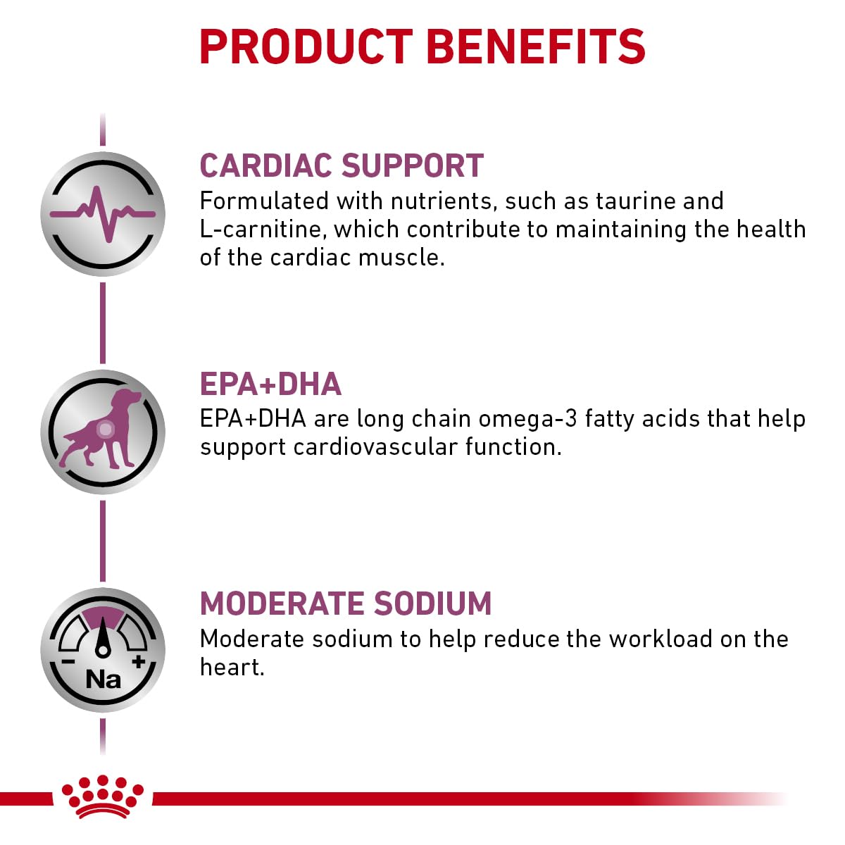 Royal Canin Early Cardiac croquettes détail: texture croquante et appétente.