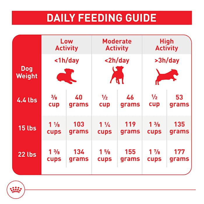 Gros plan sur les croquettes Royal Canin, forme compacte et appétente.