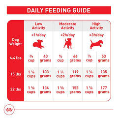 Gros plan sur les croquettes Royal Canin, forme compacte et appétente.