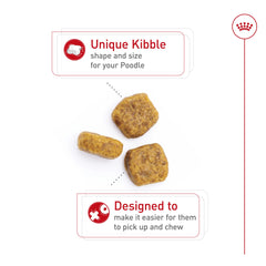 EPA et DHA dans Royal Canin pour peau et pelage sains du Caniche.